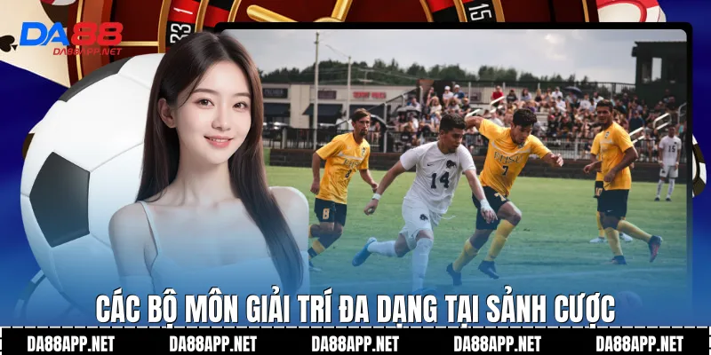 Các bộ môn giải trí đa dạng tại sảnh cược